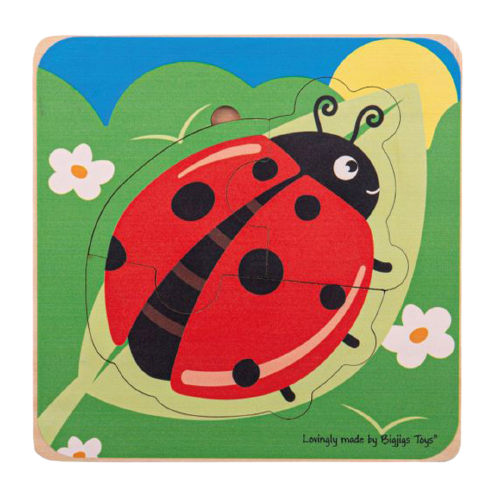 Lifecycle Layer Puzzle - Ladybug