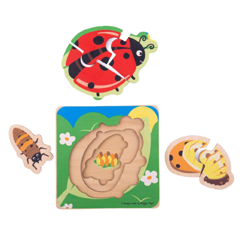 Lifecycle Layer Puzzle - Ladybug