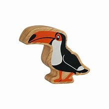 Natural Black and Orange Toucan