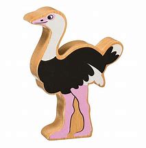 Natural Black and White Ostrich