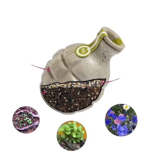 The Bees and Me Seedbom