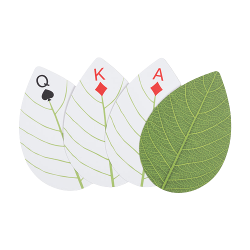 Leaf cards