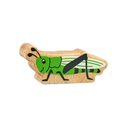 Natural Green Grasshopper
