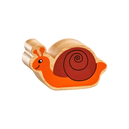 Natural Brown and Orange Snail