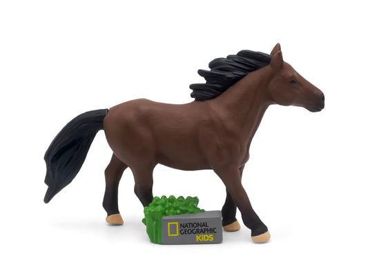 National Geographic Kids - Horse
