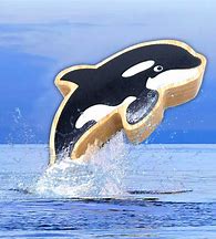 Natural Black and White Orca