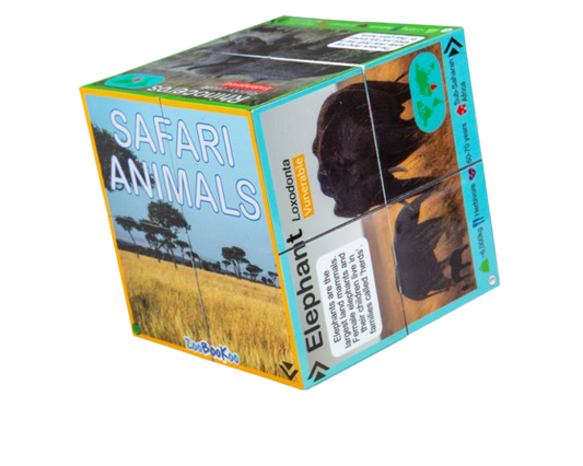 Safari Animals Cube Book
