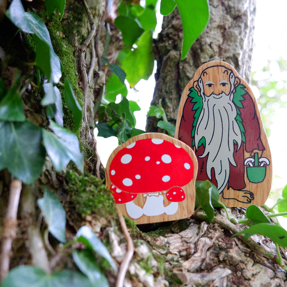 Natural red & white toadstool